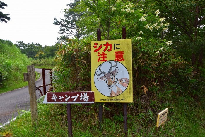 f0174419_23002887.jpg