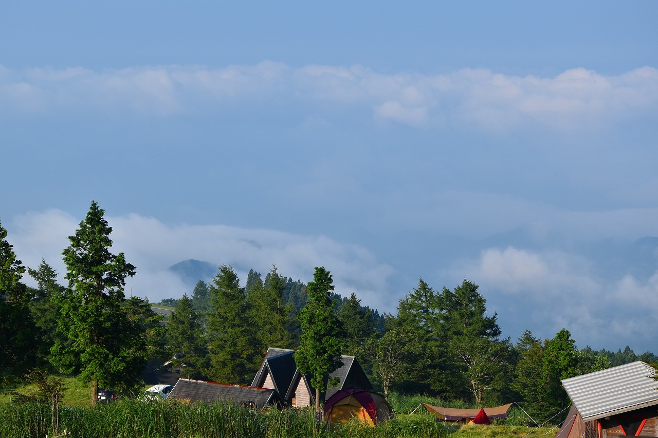 f0174419_23220042.jpg