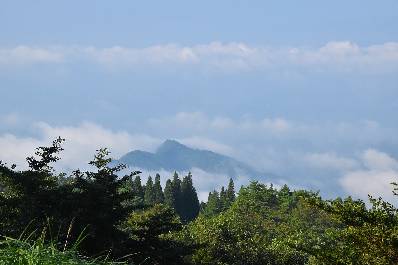 f0174419_23221190.jpg