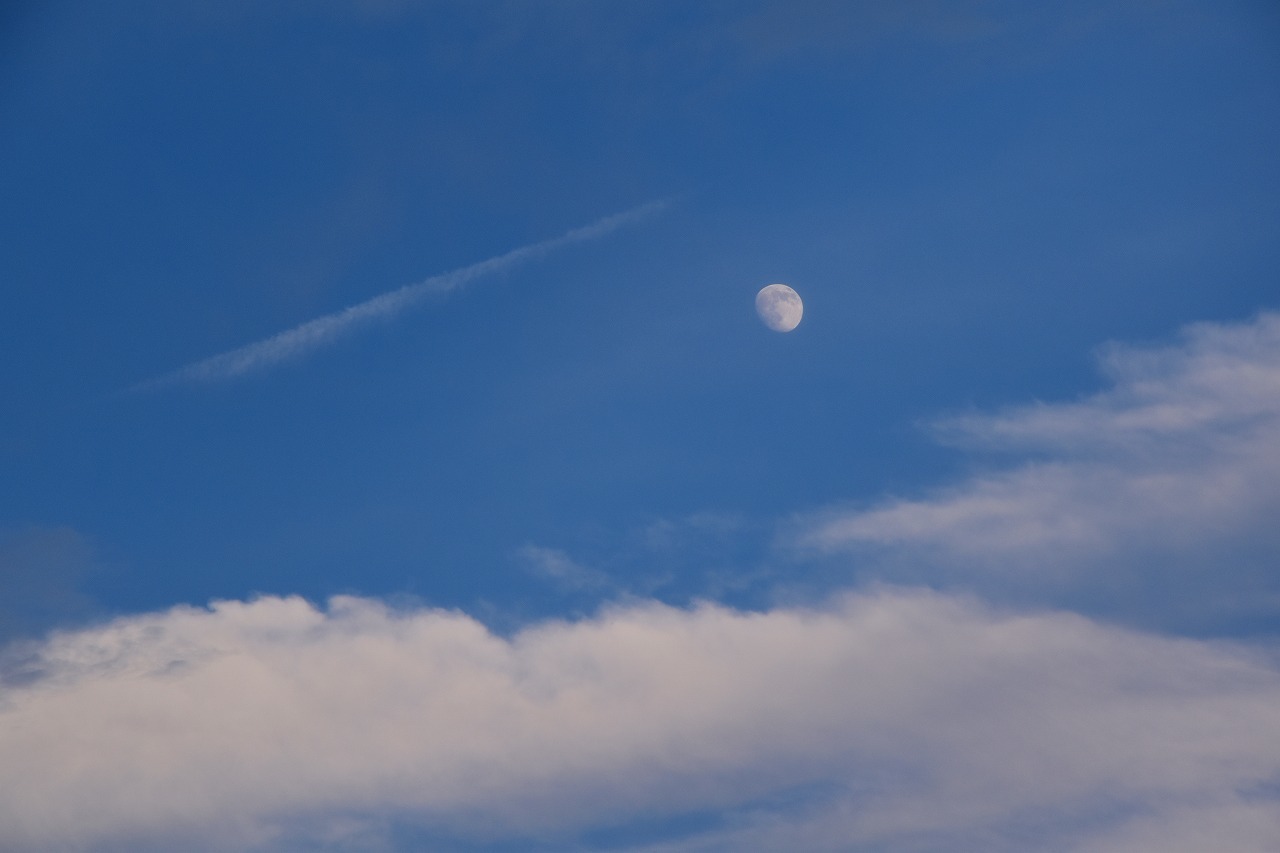 f0174419_23471746.jpg