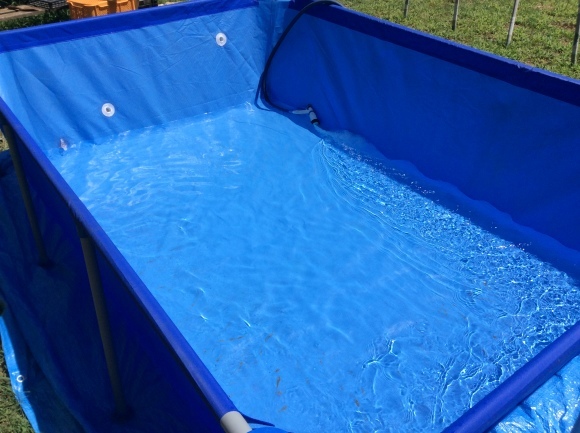 b0188228_07454153.jpeg