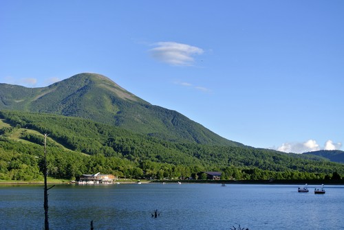 d0170835_175833100.jpg