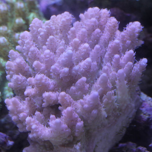 d0221436_2385265.jpg