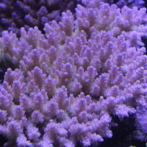d0221436_239278.jpg
