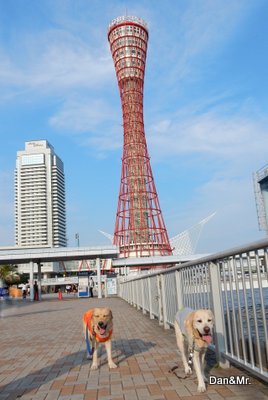 a0142343_1323349.jpg