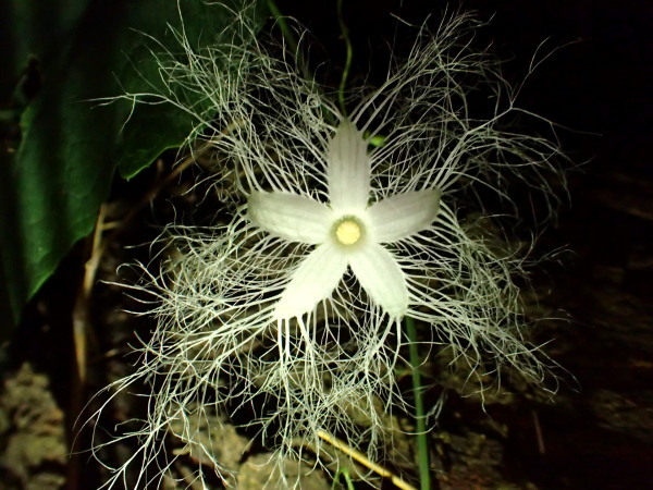 c0122670_20273151.jpg