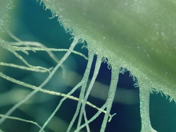 c0122670_20273245.jpg