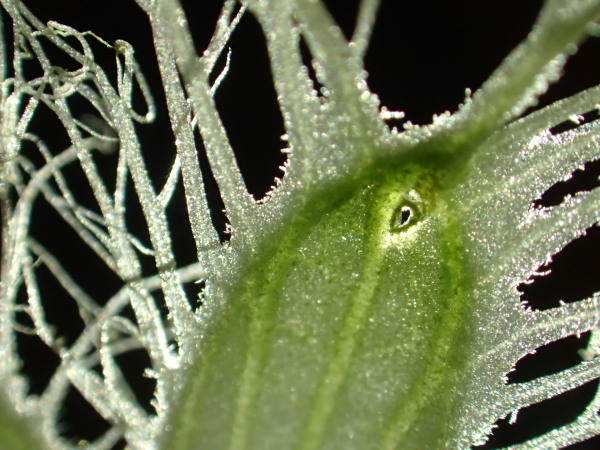 c0122670_20291936.jpg