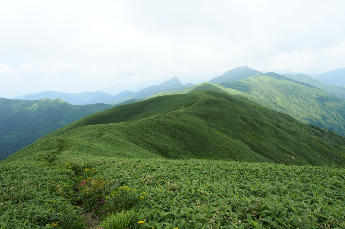 e0307372_16183599.jpg