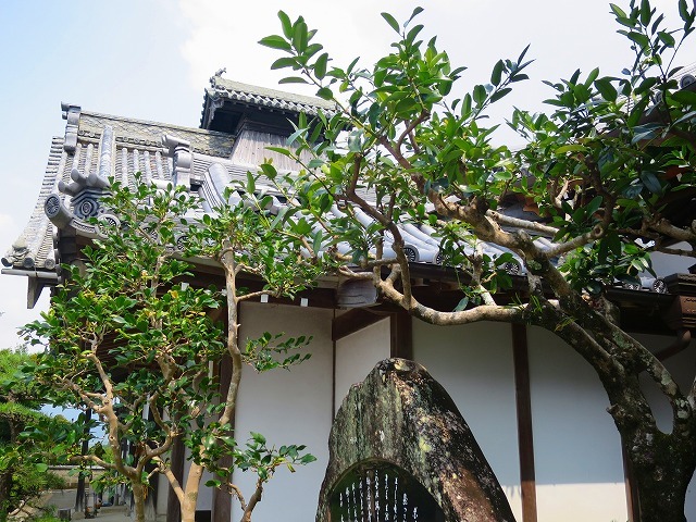 b0326483_23215479.jpg