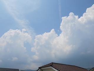 e0130185_13564869.jpg