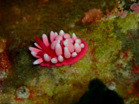 c0018489_23551435.jpg