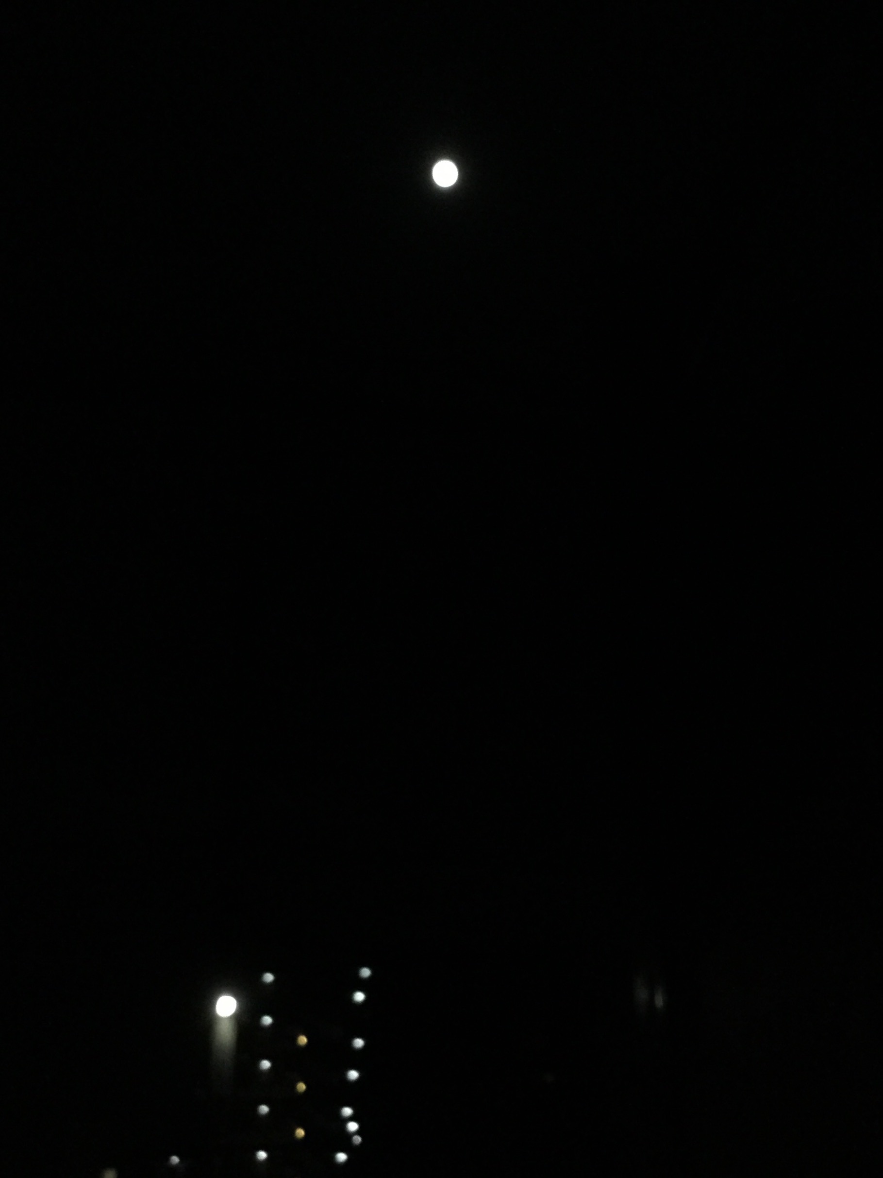 c0151691_049682.jpg