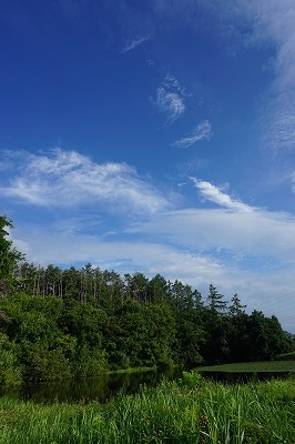b0180494_23095241.jpg