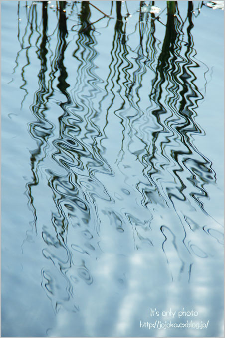 e0008800_14151982.jpg