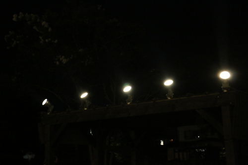c0075701_2163210.jpg