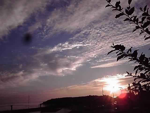 a0112812_22095485.jpg