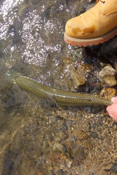 c0232813_08241940.jpg