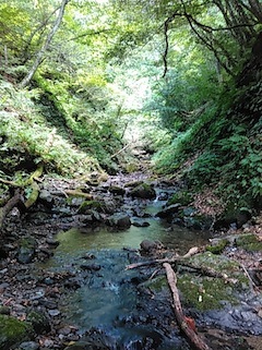 c0359615_21010987.jpg