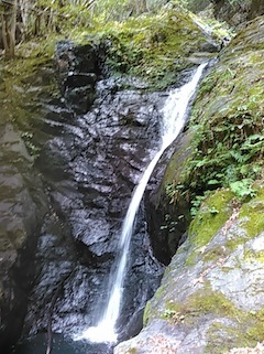 c0359615_21013383.jpg