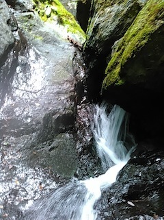 c0359615_21014992.jpg