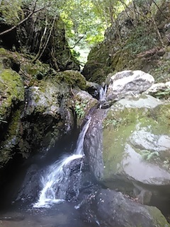 c0359615_21021366.jpg