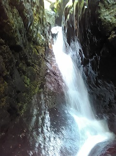 c0359615_21024448.jpg
