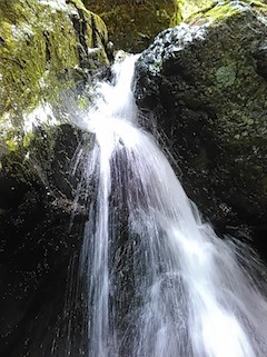 c0359615_21025792.jpg