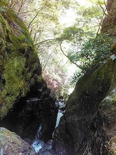 c0359615_21031011.jpg