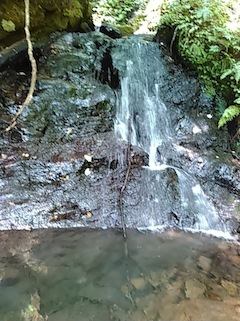 c0359615_21040450.jpg