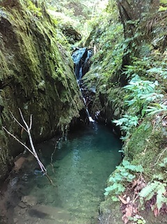 c0359615_21041847.jpg