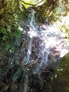 c0359615_21043777.jpg