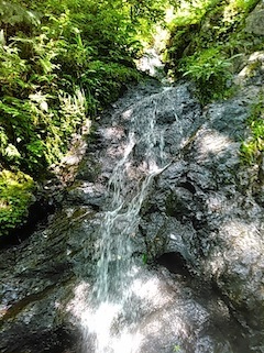 c0359615_21045687.jpg