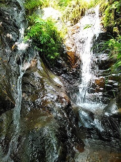 c0359615_21050901.jpg