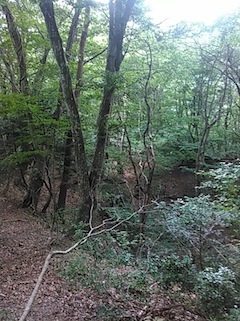 c0359615_21052420.jpg