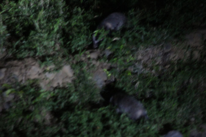 b0355317_11423511.jpg