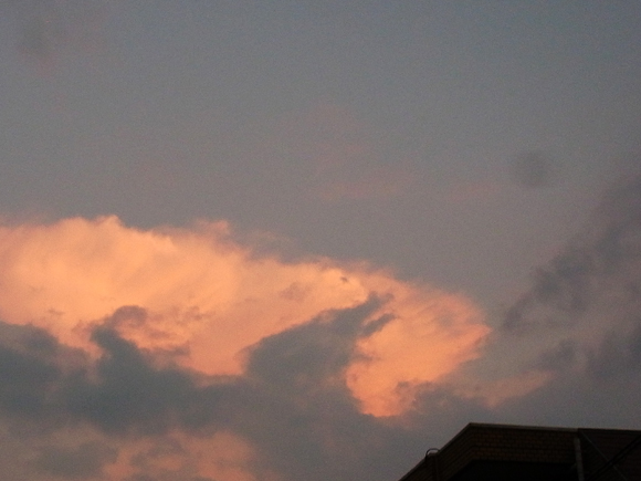 e0083517_02111187.jpg