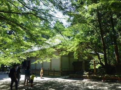 c0227720_11370410.jpg