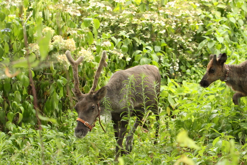 c0188824_21274427.jpg