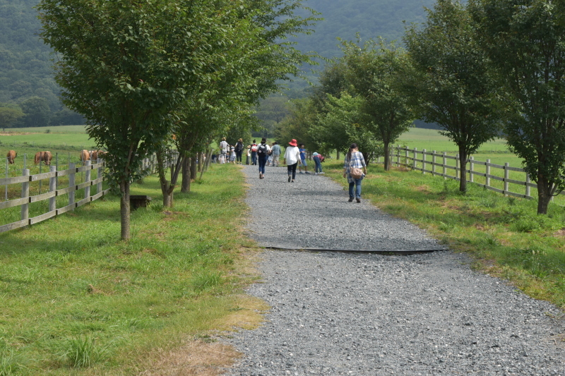 f0362524_09282942.jpg