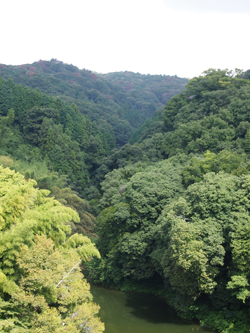 c0188928_16295860.jpg
