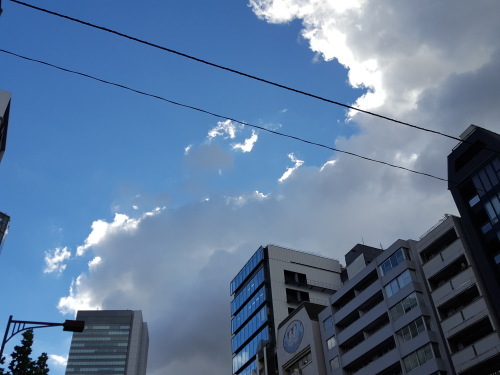 e0016828_11265772.jpg