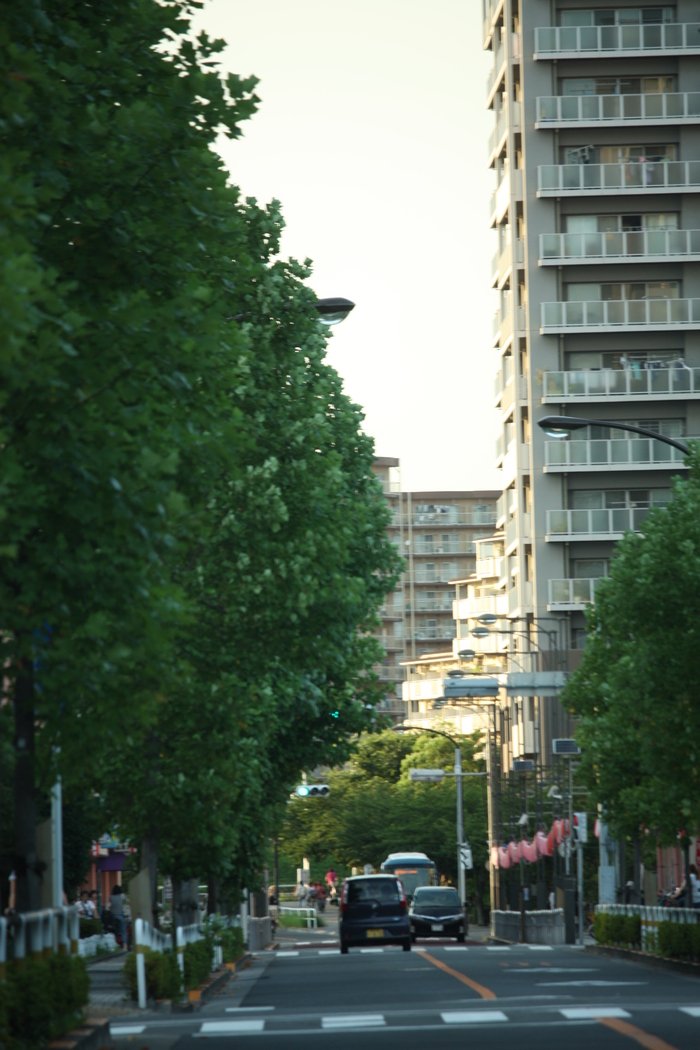 a0214329_865791.jpg