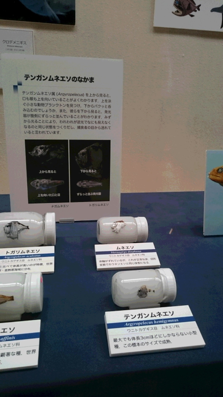 c0034029_20321558.jpg