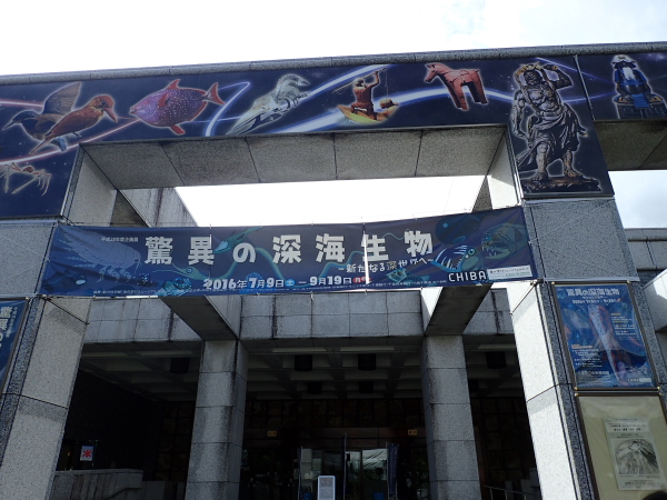 c0034029_20321660.jpg