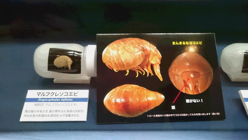 c0034029_20321973.jpg