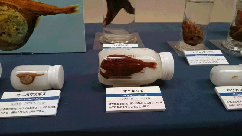 c0034029_20322152.jpg