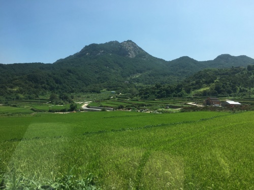 b0132630_21152275.jpeg