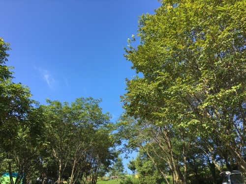 b0132630_21204075.jpeg