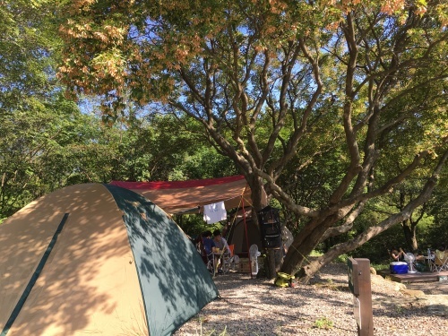 b0132630_21371803.jpeg